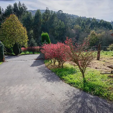 Gospodarstwo wiejskie La Casina De Punticiella *