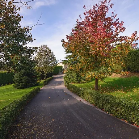 Gospodarstwo wiejskie La Casina De Punticiella El Pito