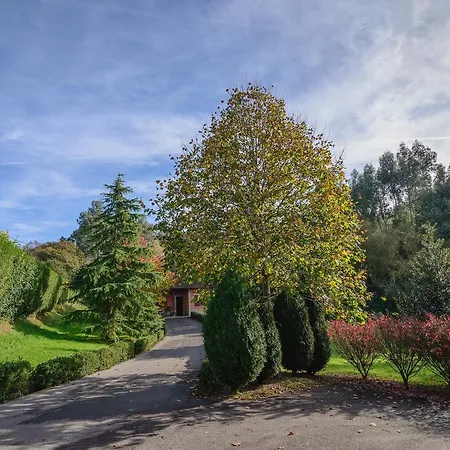 La Casina De Punticiella Летний дом Эль-Пито